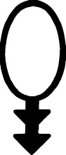 ADSL-1013